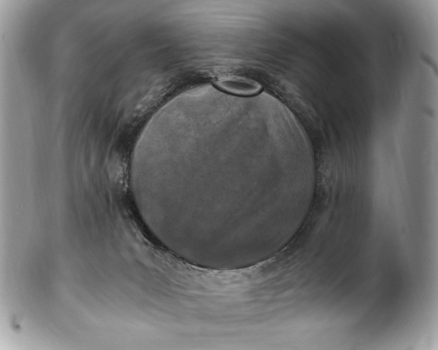 X0000100860031200807070944