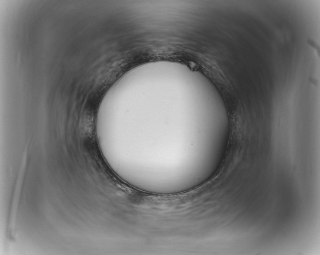 X0000100860033200807070944