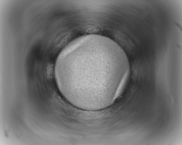 X0000100860034200807070944