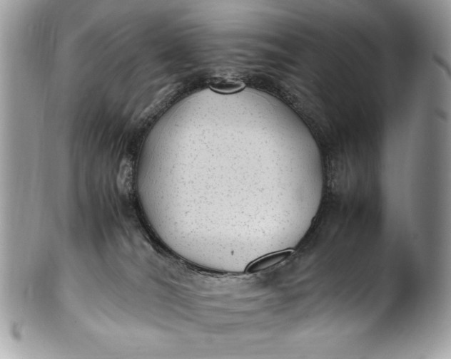 X0000100860036200807070944