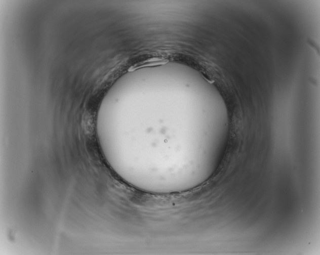 X0000100860037200807070944