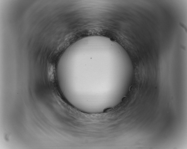 X0000100860038200807070944