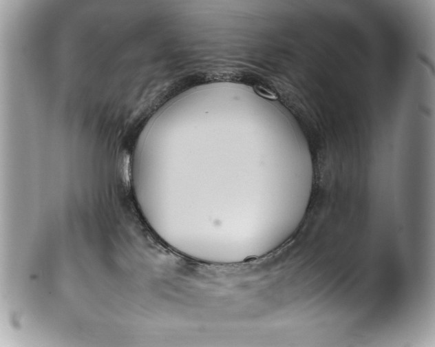 X0000100860041200807070944