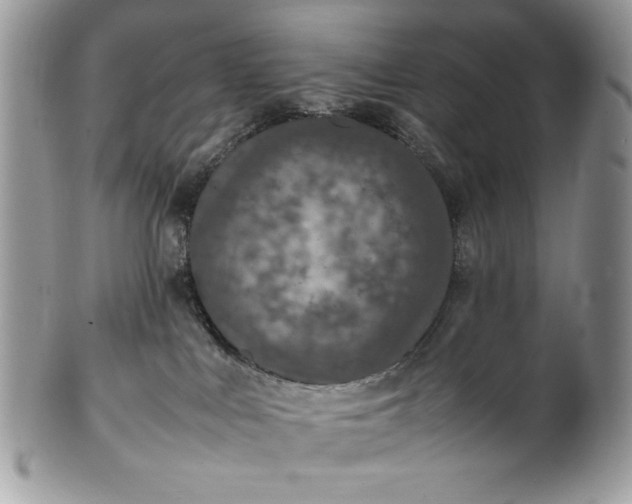 X0000100860043200807070944