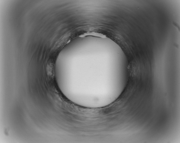 X0000100860044200807070944