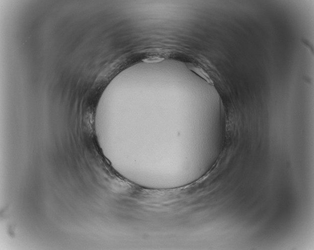 X0000100860045200807070944