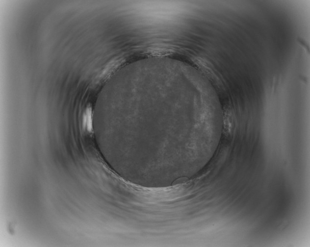 X0000100860046200807070944