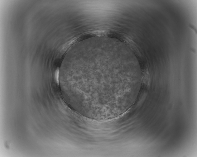 X0000100860047200807070944