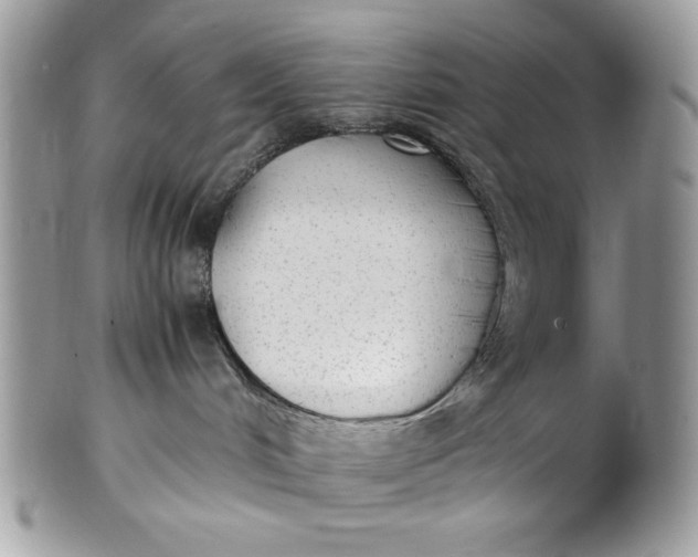 X0000100860048200807070944