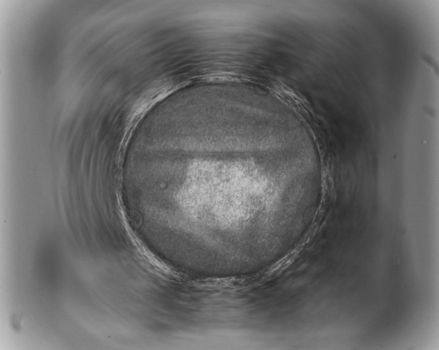 X0000100860049200807070944