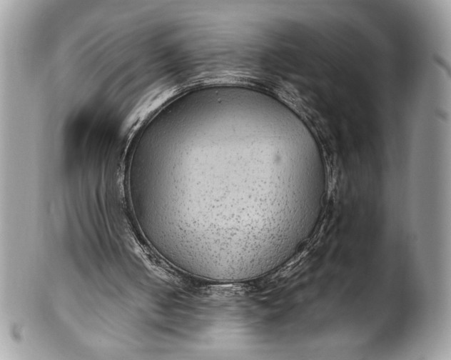 X0000100860050200807070944