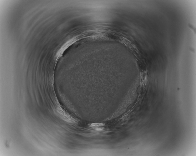 X0000100860051200807070944