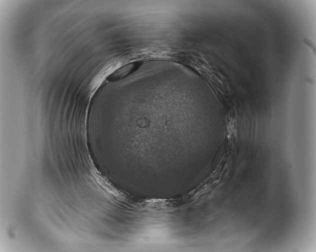 X0000100860052200807070944