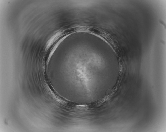 X0000100860053200807070944