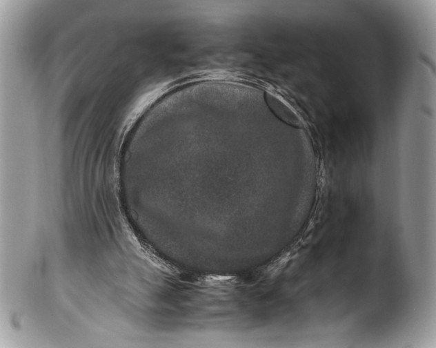 X0000100860055200807070944