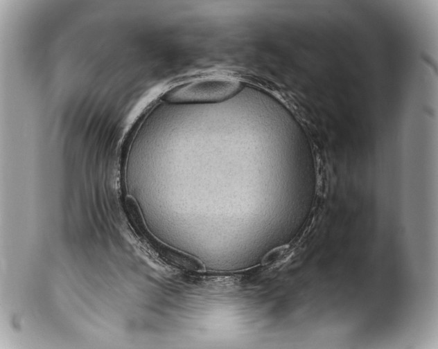 X0000100860056200807070944