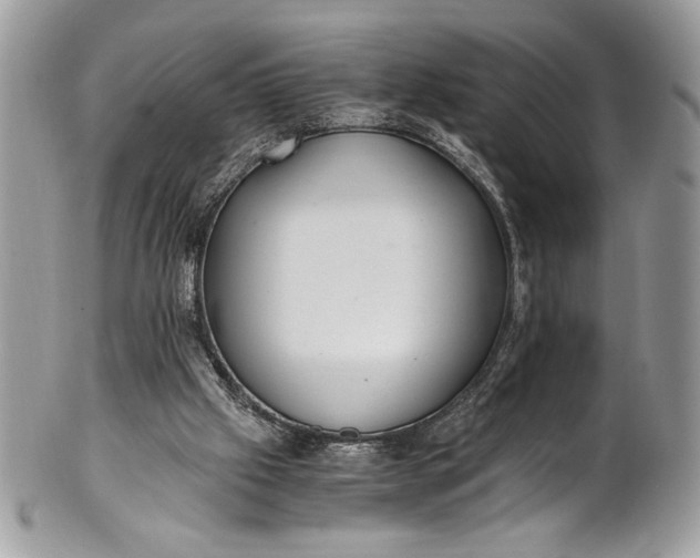 X0000100860057200807070944