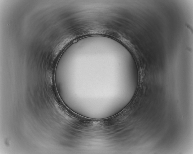 X0000100860060200807070944