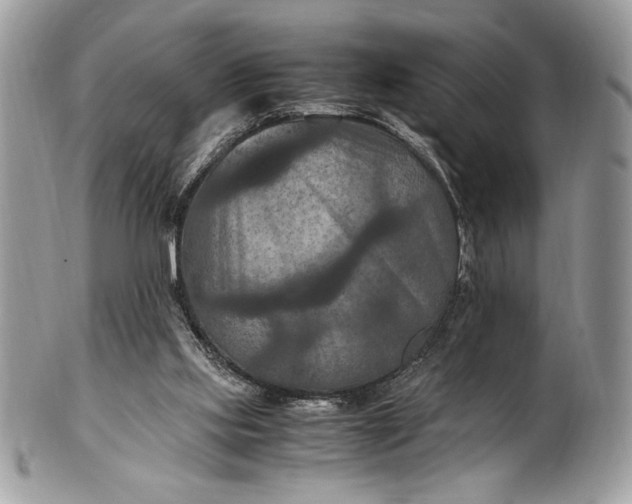 X0000100860061200807070944