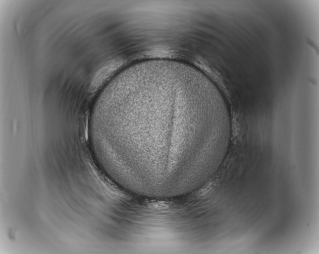 X0000100860062200807070944