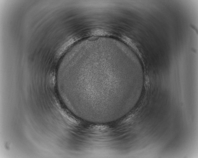 X0000100860063200807070944