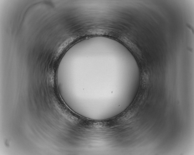 X0000100860064200807070944