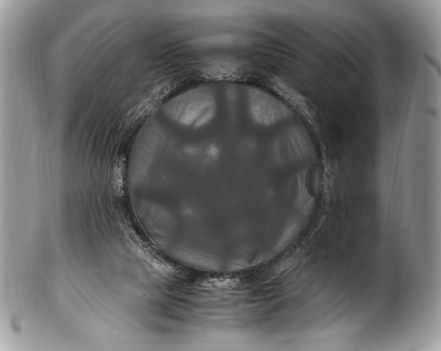 X0000100860065200807070944