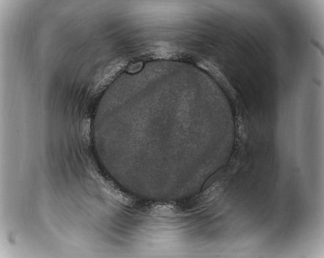 X0000100860066200807070944