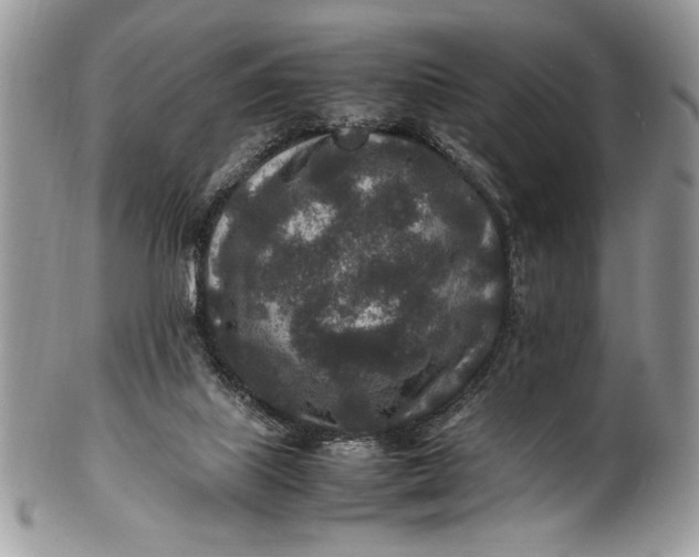 X0000100860067200807070944