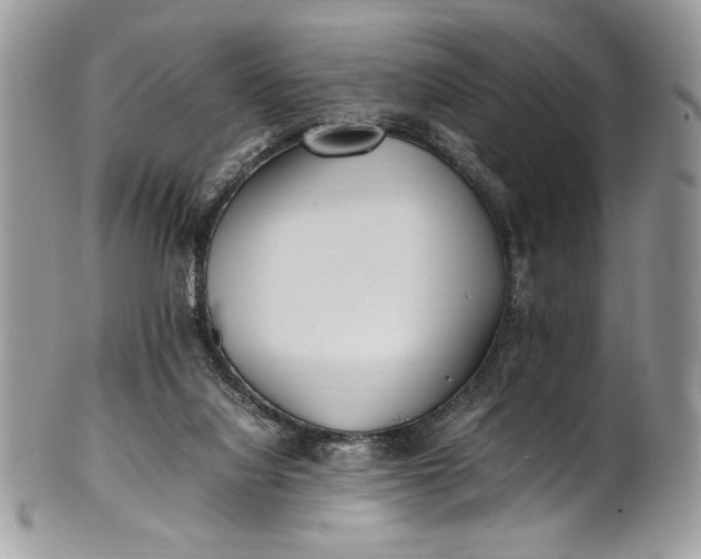 X0000100860068200807070944