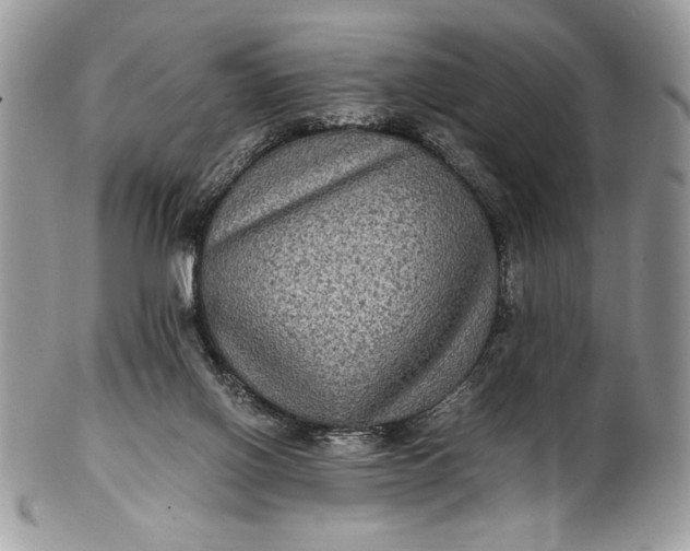 X0000100860070200807070944