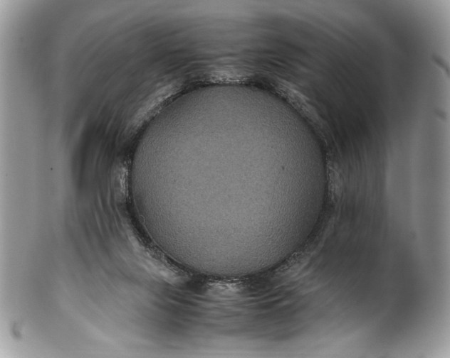 X0000100860071200807070944