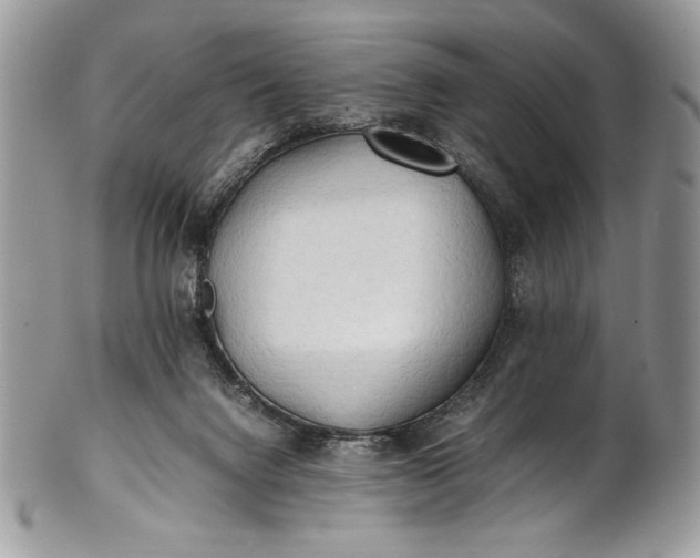 X0000100860072200807070944