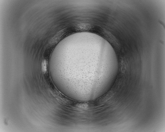 X0000100860075200807070944