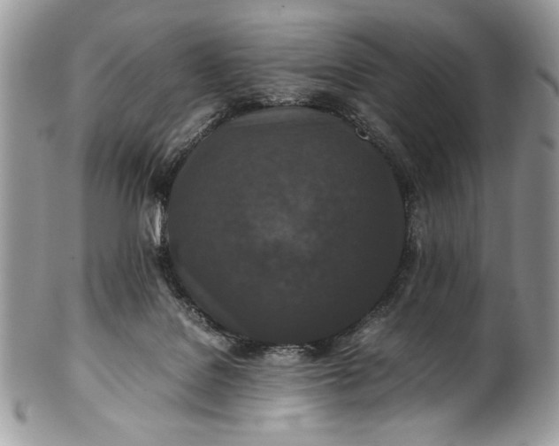 X0000100860076200807070944