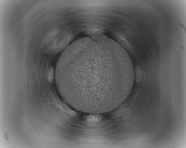 X0000100860077200807070944