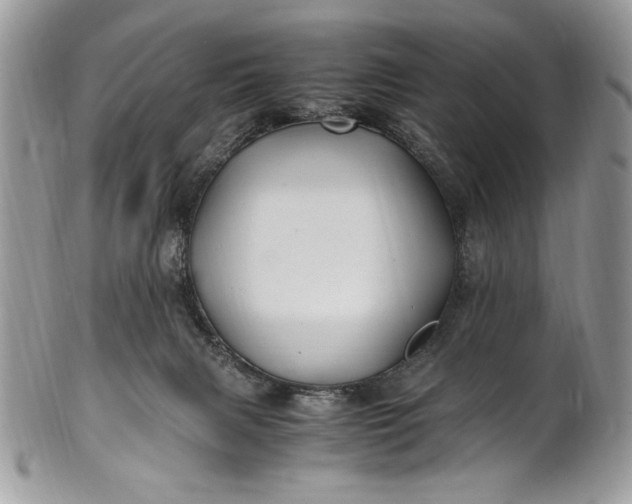 X0000100860079200807070944