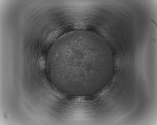 X0000100860080200807070944