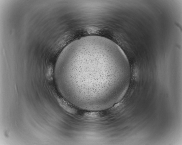 X0000100860082200807070944