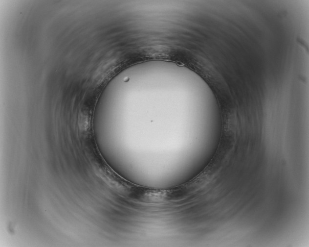 X0000100860084200807070944