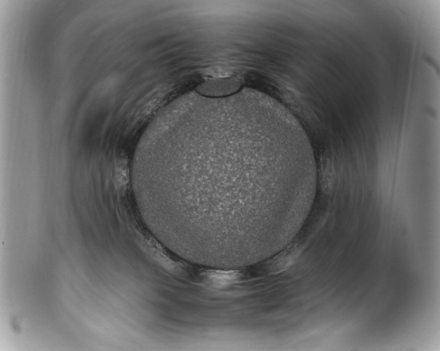 X0000100860085200807070944