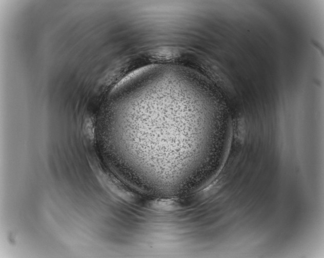 X0000100860086200807070944