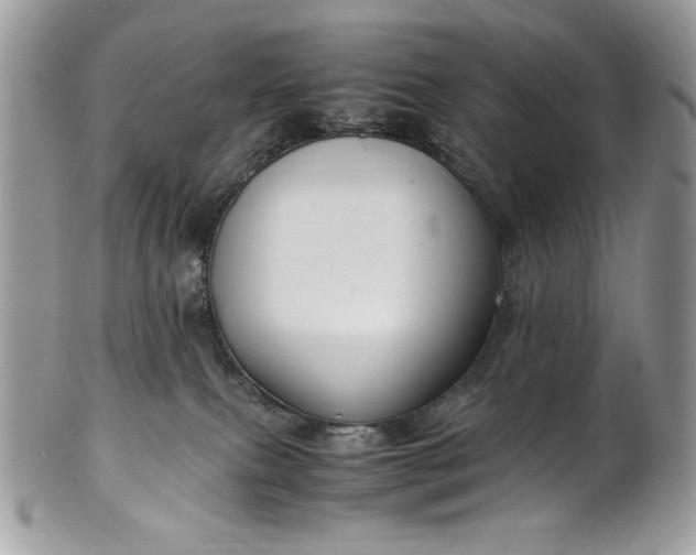 X0000100860087200807070944