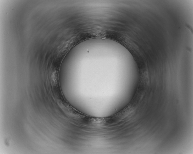 X0000100860088200807070944