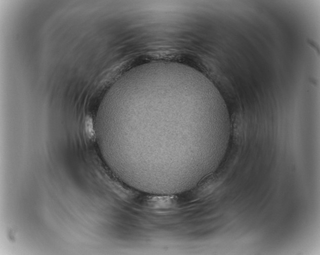 X0000100860089200807070944