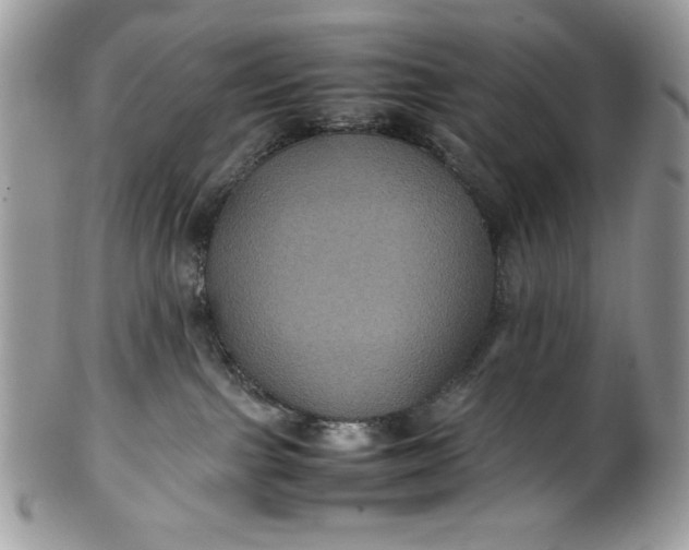 X0000100860091200807070944