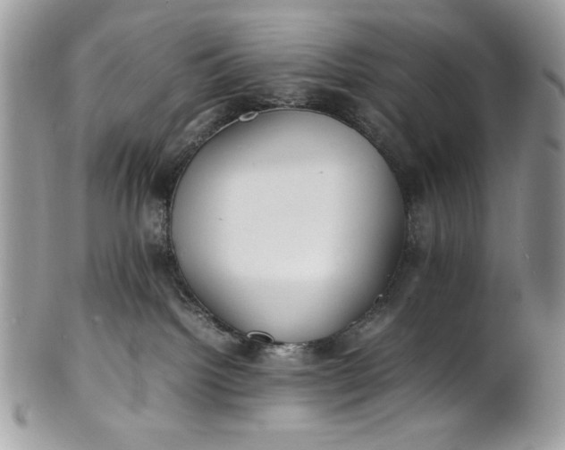 X0000100860092200807070944