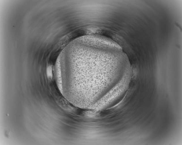 X0000100860094200807070944