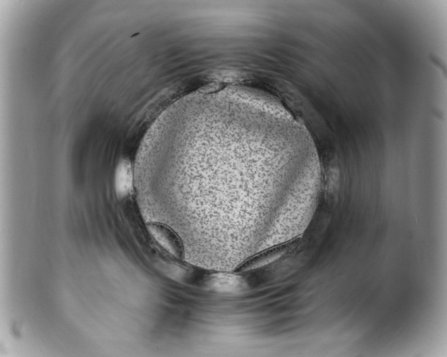 X0000100860095200807070944