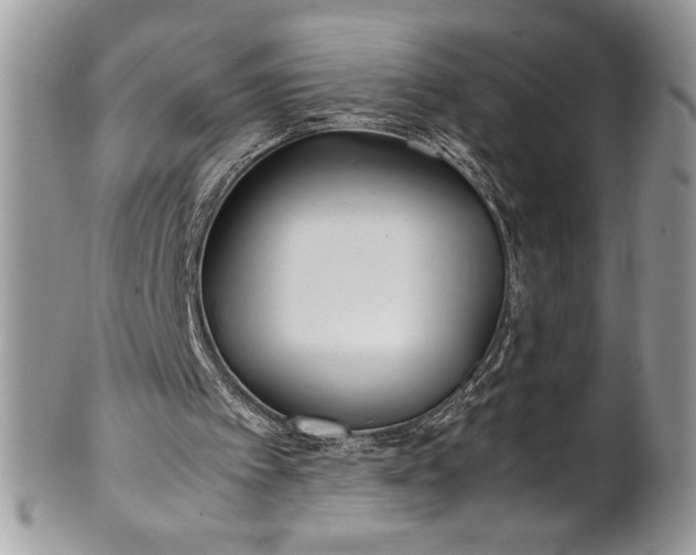 X0000100860097200807070943